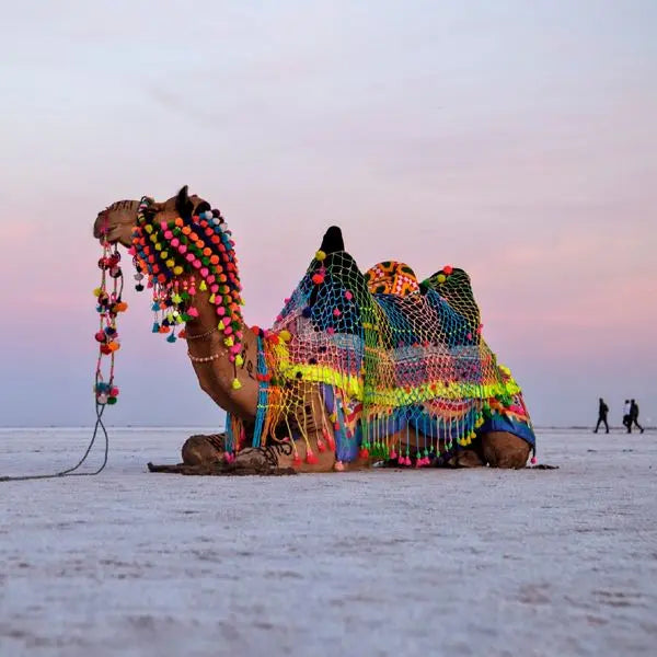 GUJARAT PANDAVERSE